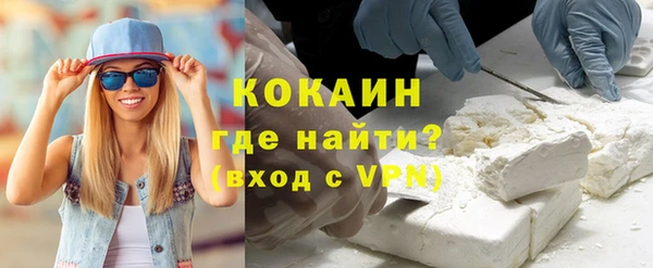 шишки Сясьстрой