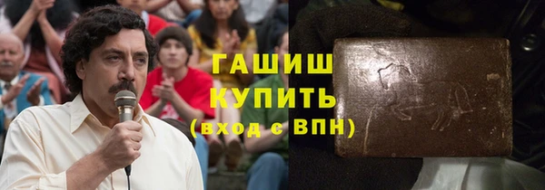 индика Богородицк