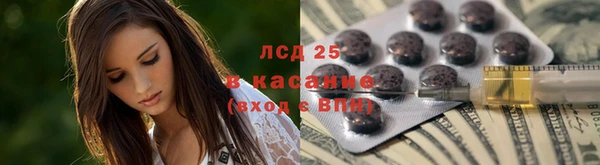 индика Богородицк