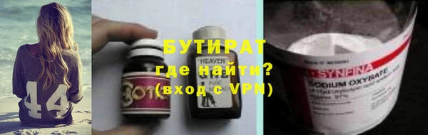 индика Богородицк