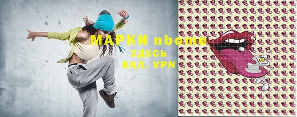 индика Богородицк
