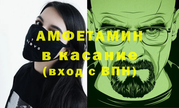 индика Богородицк