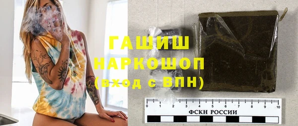 индика Богородицк