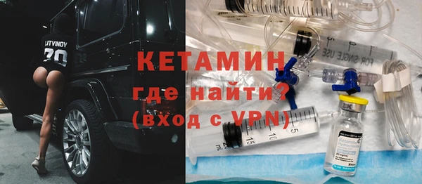 индика Богородицк