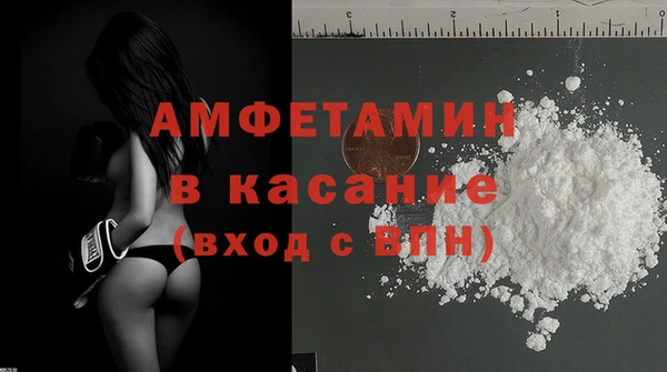 индика Богородицк