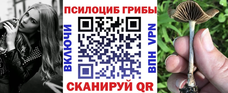 Псилоцибиновые грибы GOLDEN TEACHER  купить закладку  Мосальск 